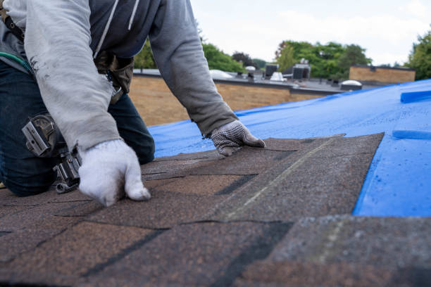 Professional Roofing Contractor in Garden City, MO